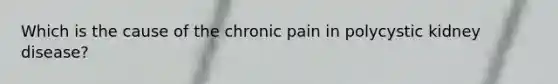 Which is the cause of the chronic pain in polycystic kidney disease?