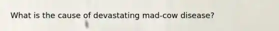 What is the cause of devastating mad-cow disease?