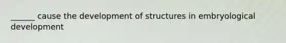 ______ cause the development of structures in embryological development