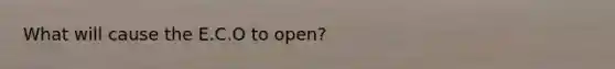 What will cause the E.C.O to open?