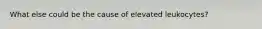 What else could be the cause of elevated leukocytes?