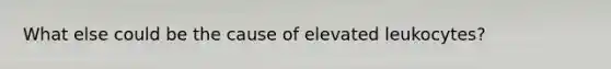 What else could be the cause of elevated leukocytes?