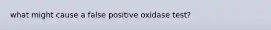 what might cause a false positive oxidase test?