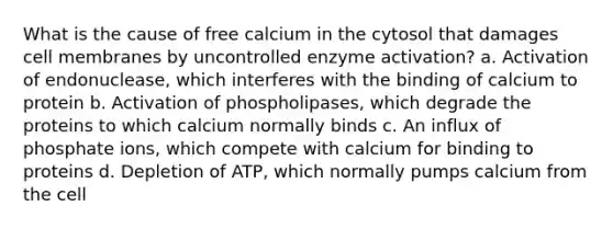 What is the cause of free calcium in the cytosol that damages cell membranes by uncontrolled enzyme activation? a. Activation of endonuclease, which interferes with the binding of calcium to protein b. Activation of phospholipases, which degrade the proteins to which calcium normally binds c. An influx of phosphate ions, which compete with calcium for binding to proteins d. Depletion of ATP, which normally pumps calcium from the cell