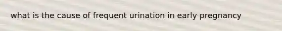 what is the cause of frequent urination in early pregnancy