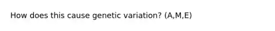 How does this cause genetic variation? (A,M,E)