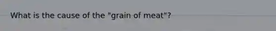 What is the cause of the "grain of meat"?