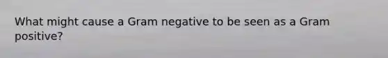 What might cause a Gram negative to be seen as a Gram positive?