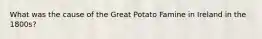 What was the cause of the Great Potato Famine in Ireland in the 1800s?