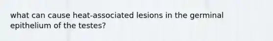 what can cause heat-associated lesions in the germinal epithelium of the testes?