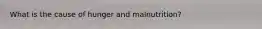 What is the cause of hunger and malnutrition?