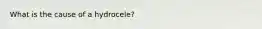 What is the cause of a hydrocele?