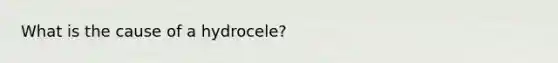 What is the cause of a hydrocele?