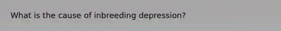 What is the cause of inbreeding depression?