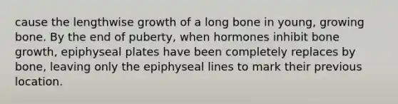 cause the lengthwise growth of a long bone in young, growing bone. By the end of puberty, when hormones inhibit bone growth, epiphyseal plates have been completely replaces by bone, leaving only the epiphyseal lines to mark their previous location.