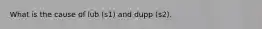 What is the cause of lub (s1) and dupp (s2).