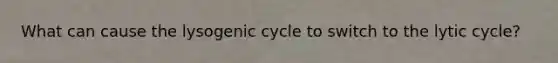 What can cause the lysogenic cycle to switch to the lytic cycle?