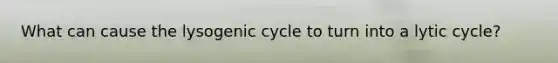 What can cause the lysogenic cycle to turn into a lytic cycle?