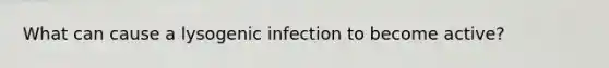 What can cause a lysogenic infection to become active?