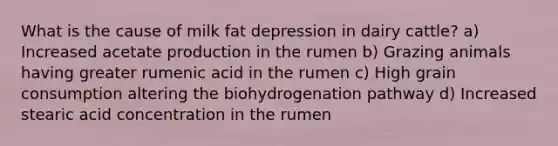 What is the cause of milk fat depression in dairy cattle? a) Increased acetate production in the rumen b) Grazing animals having greater rumenic acid in the rumen c) High grain consumption altering the biohydrogenation pathway d) Increased stearic acid concentration in the rumen