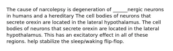 The cause of narcolepsy is degeneration of ______nergic neurons in humans and a hereditary The cell bodies of neurons that secrete orexin are located in the lateral hypothalamus. The cell bodies of neurons that secrete orexin are located in the lateral hypothalamus. This has an excitatory effect in all of these regions. help stabilize the sleep/waking flip-flop.