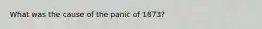 What was the cause of the panic of 1873?