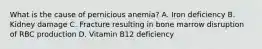 What is the cause of pernicious anemia? A. Iron deficiency B. Kidney damage C. Fracture resulting in bone marrow disruption of RBC production D. Vitamin B12 deficiency