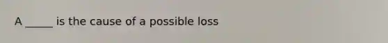 A _____ is the cause of a possible loss