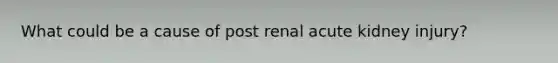 What could be a cause of post renal acute kidney injury?