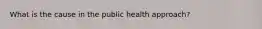 What is the cause in the public health approach?