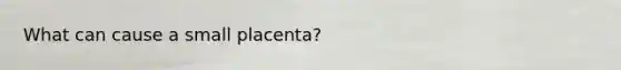 What can cause a small placenta?
