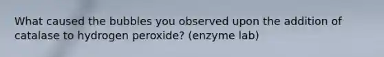 What caused the bubbles you observed upon the addition of catalase to hydrogen peroxide? (enzyme lab)