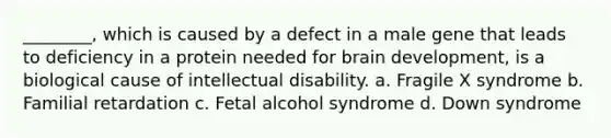 ________, which is caused by a defect in a male gene that leads to deficiency in a protein needed for brain development, is a biological cause of <a href='https://www.questionai.com/knowledge/kmZU5sLenn-intellectual-disability' class='anchor-knowledge'>intellectual disability</a>. a. Fragile X syndrome b. Familial retardation c. Fetal alcohol syndrome d. <a href='https://www.questionai.com/knowledge/kmiHrRsxOX-down-syndrome' class='anchor-knowledge'>down syndrome</a>