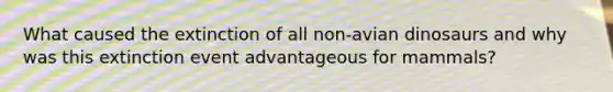 What caused the extinction of all non-avian dinosaurs and why was this extinction event advantageous for mammals?