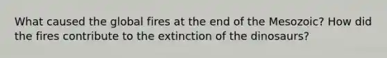 What caused the global fires at the end of the Mesozoic? How did the fires contribute to the extinction of the dinosaurs?