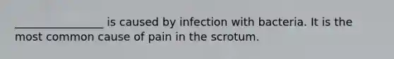 ________________ is caused by infection with bacteria. It is the most common cause of pain in the scrotum.