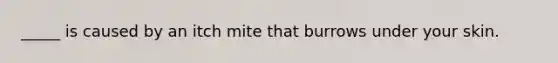 _____ is caused by an itch mite that burrows under your skin.