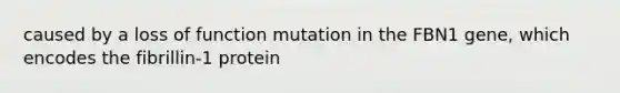 caused by a loss of function mutation in the FBN1 gene, which encodes the fibrillin-1 protein