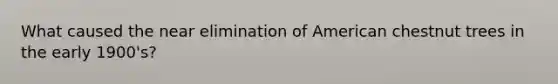 What caused the near elimination of American chestnut trees in the early 1900's?