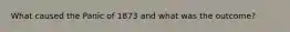 What caused the Panic of 1873 and what was the outcome?