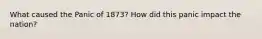 What caused the Panic of 1873? How did this panic impact the nation?