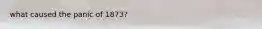 what caused the panic of 1873?