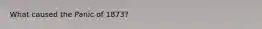 What caused the Panic of 1873?