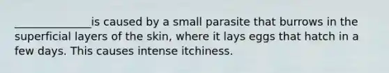 ______________is caused by a small parasite that burrows in the superficial layers of the skin, where it lays eggs that hatch in a few days. This causes intense itchiness.