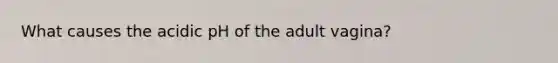 What causes the acidic pH of the adult vagina?