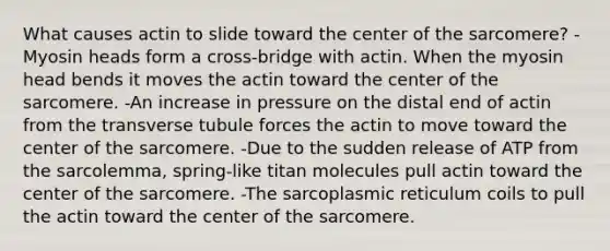 What causes actin to slide toward the center of the sarcomere? -Myosin heads form a cross-bridge with actin. When the myosin head bends it moves the actin toward the center of the sarcomere. -An increase in pressure on the distal end of actin from the transverse tubule forces the actin to move toward the center of the sarcomere. -Due to the sudden release of ATP from the sarcolemma, spring-like titan molecules pull actin toward the center of the sarcomere. -The sarcoplasmic reticulum coils to pull the actin toward the center of the sarcomere.