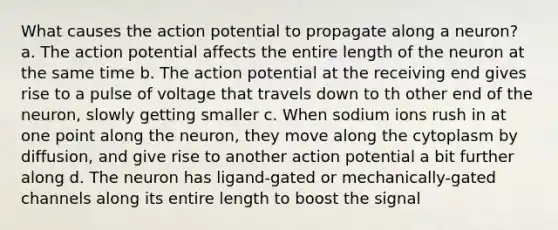 What causes the action potential to propagate along a neuron? a. The action potential affects the entire length of the neuron at the same time b. The action potential at the receiving end gives rise to a pulse of voltage that travels down to th other end of the neuron, slowly getting smaller c. When sodium ions rush in at one point along the neuron, they move along the cytoplasm by diffusion, and give rise to another action potential a bit further along d. The neuron has ligand-gated or mechanically-gated channels along its entire length to boost the signal