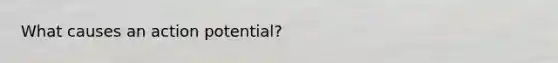 What causes an action potential?