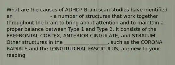 What are the causes of ADHD? Brain scan studies have identified an _________ _____- a number of structures that work together throughout the brain to bring about attention and to maintain a proper balance between Type 1 and Type 2. It consists of the PREFRONTAL CORTEX, ANTERIOR CINGULATE, and STRATUM. Other structures in the __________ _______, such as the CORONA RADIATE and the LONGITUDINAL FASCICULUS, are new to your reading.