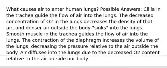 What causes air to enter human lungs? Possible Answers: Cillia in the trachea guide the flow of air into the lungs. The decreased concentration of O2 in the lungs decreases the density of that air, and denser air outside the body "sinks" into the lungs. Smooth muscle in the trachea guides the flow of air into the lungs. The contraction of the diaphragm increases the volume of the lungs, decreasing the pressure relative to the air outside the body. Air diffuses into the lungs due to the decreased O2 content relative to the air outside our body.